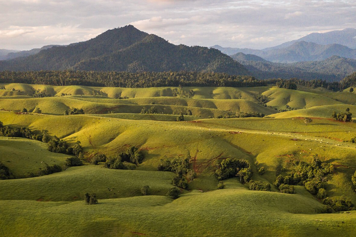 green rolling hills with mountains in the background